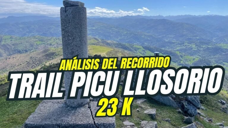 Llosorio 23k / Edición 2025