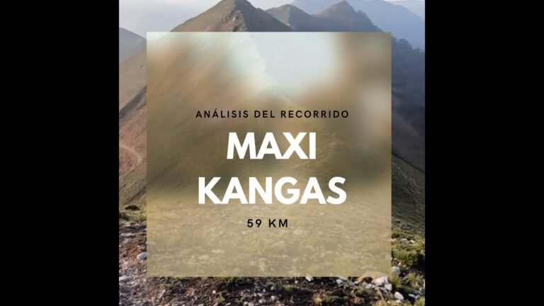 Maxi Kangas 2024